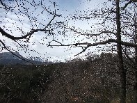 nte Cagliato-20110220 031
